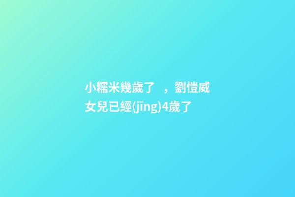 小糯米幾歲了，劉愷威女兒已經(jīng)4歲了-第1張-觀點(diǎn)-玄機(jī)派